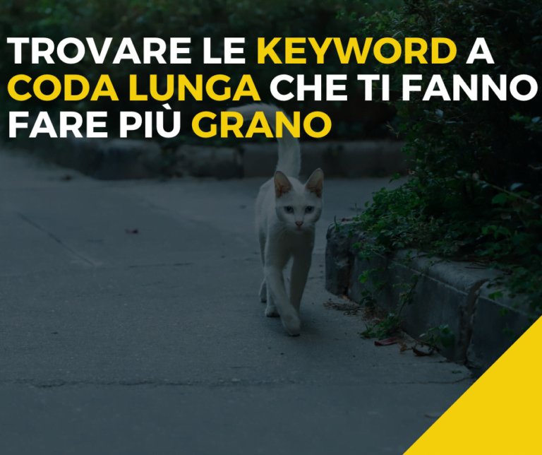 immagine dell'articolo sulle keyword a coda lunga