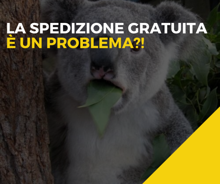 Immagine di copertina dell'articolo "la spedizione gratuita è un problema?"